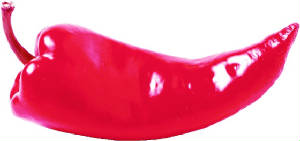 333.jpg