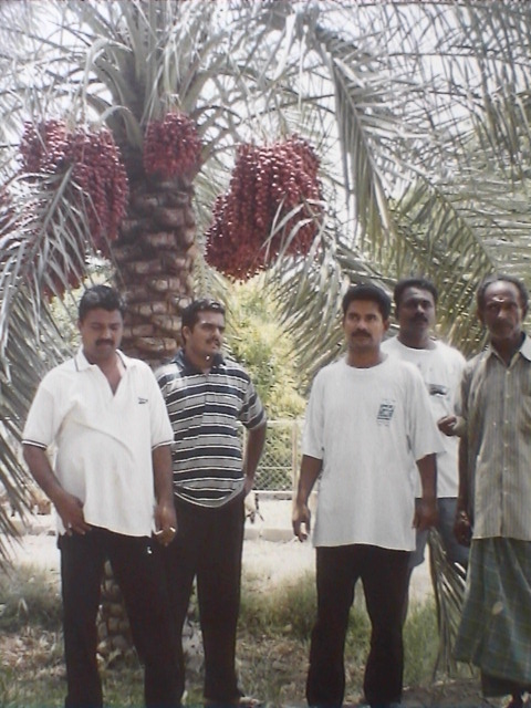 dvc01336.jpg